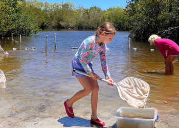 Summer Camps in Indian River County (Environmental Learning Center)