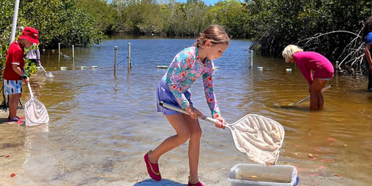 Summer Camps in Indian River County (Environmental Learning Center)