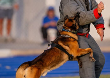 Treasure Coast Police K-9 Alliance
