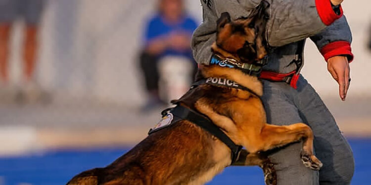 Treasure Coast Police K-9 Alliance