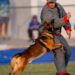 Treasure Coast Police K-9 Alliance