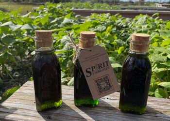 Spirit of Sebastian