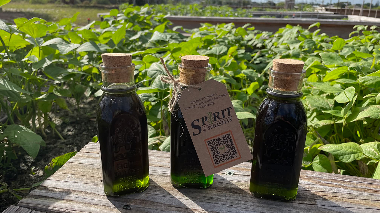 Sweet Success: Spirit of Sebastian Bees Pollinating Indian River County’s Future During National Pollinator Week