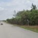 US-1 near the Sebastian River Bridge