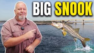 Sebastian Inlet Fishing Report July 2026: Big Snook, Snapper & Mackerel Are Biting
