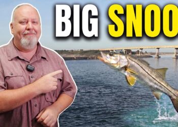 Sebastian Inlet Fishing Report July 2026: Big Snook, Snapper & Mackerel Are Biting