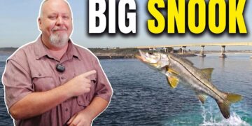 Sebastian Inlet Fishing Report July 2026: Big Snook, Snapper & Mackerel Are Biting