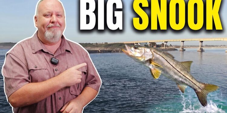 Sebastian Inlet Fishing Report July 2026: Big Snook, Snapper & Mackerel Are Biting