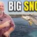 Sebastian Inlet Fishing Report July 2026: Big Snook, Snapper & Mackerel Are Biting
