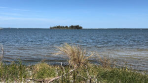 Indian River Lagoon / Sebastian Daily