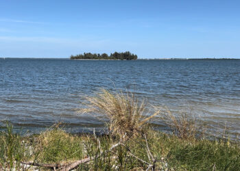 Indian River Lagoon / Sebastian Daily