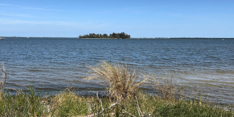 Indian River Lagoon / Sebastian Daily