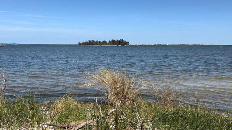 Indian River Lagoon / Sebastian Daily