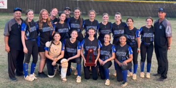 Lady Sharks