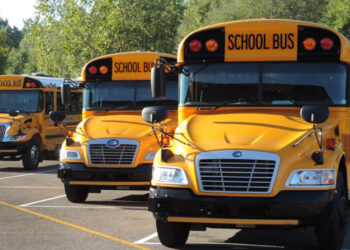 Indian River County school buses