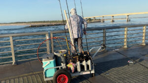 Several fish landed in the 18–22 pound range (38–40 inches) and reports of fish pushing 22 to 30 pounds at the Sebastian Inlet (Credit: Andy Hodges)
