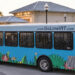Indian River Transit’s GoLine (Provided Photo)