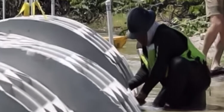 Coconut Point Shoreline Resilience Project (ORCA)
