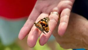 Richard Phillips Down Biker Fund Butterfly Release Memorial