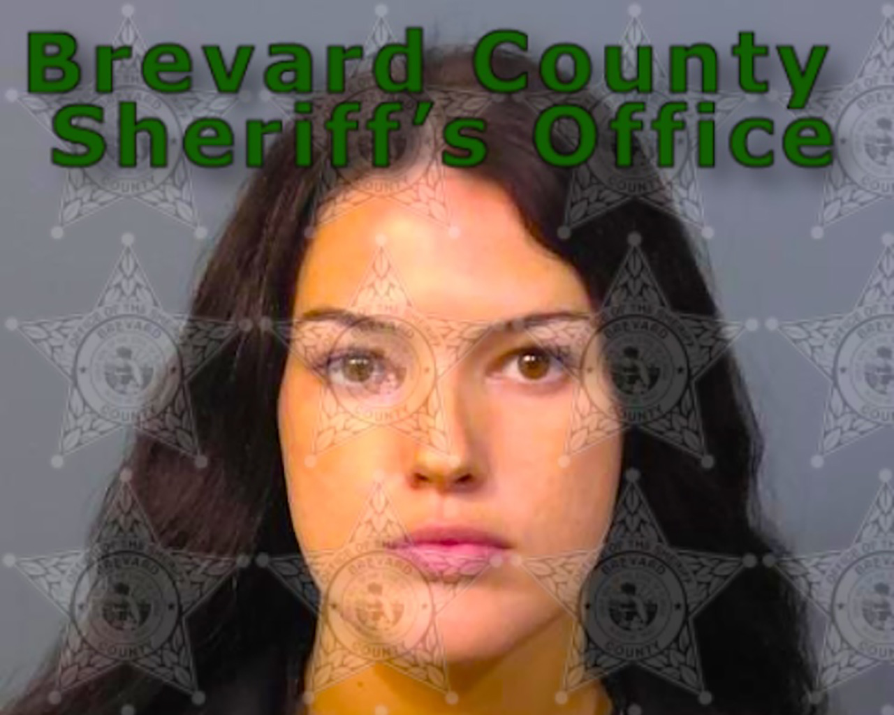 Florida woman charged with attempted murder after shooting into vehicle