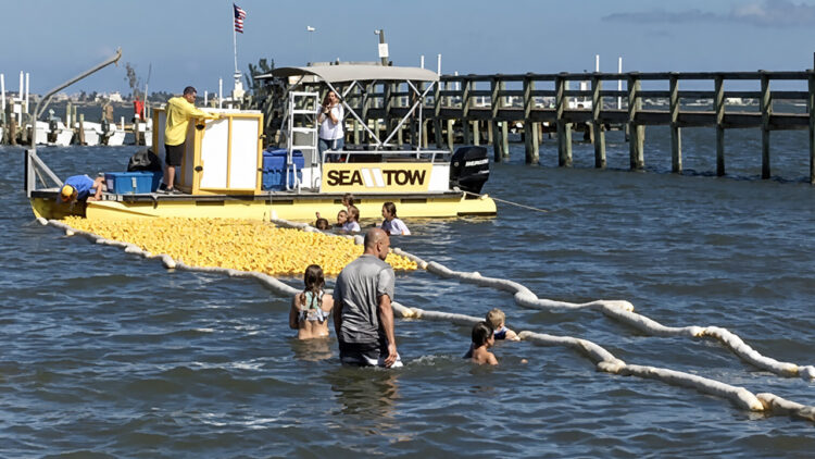 Great Treasure Coast Duck Derby (Sebastian Daily)